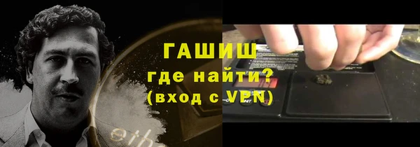 молекула духа Пестово
