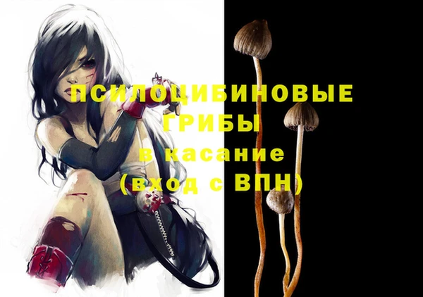 экстази Алексин